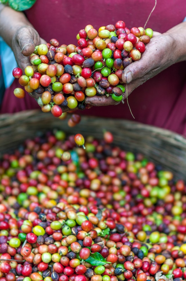 rodrigo-flores-T5qjs-63kqQ-unsplash rodrigo-flores-T5qjs-63kqQ-unsplash
